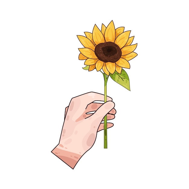 Girasol