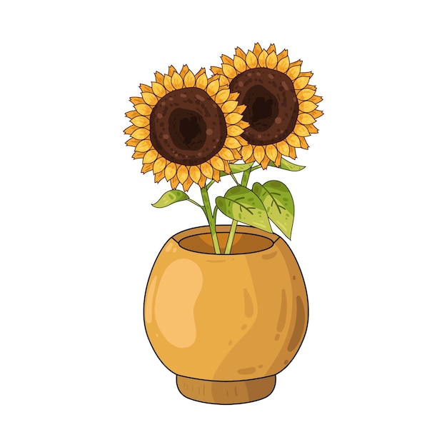 Girasol