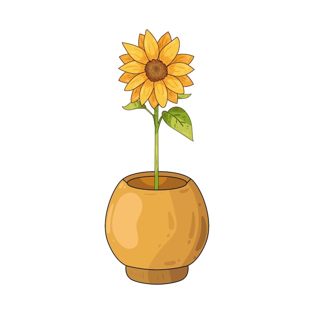 Girasol