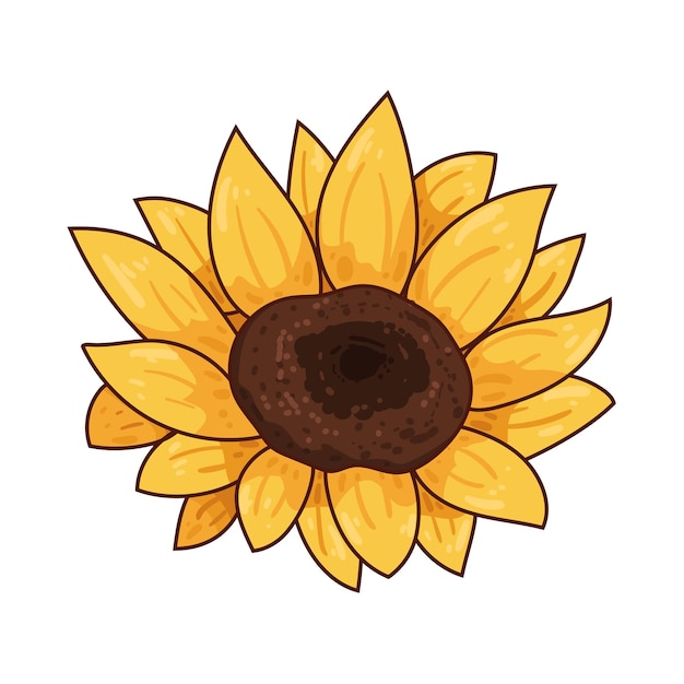 Girasol