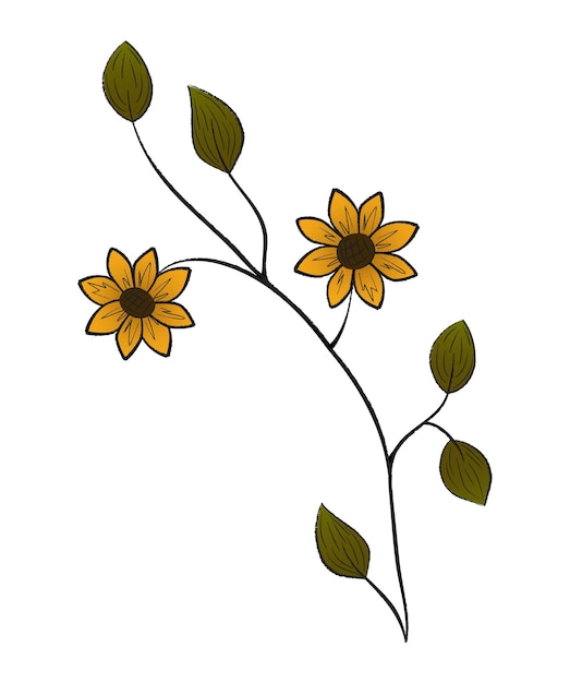 Girasoles aislados ilustración vectorial aislada sobre fondo blanco flores de dibujo de verano