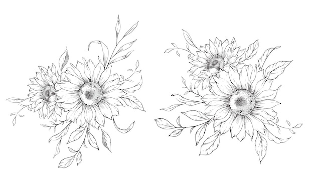Girasoles dibujo de línea lápiz Ilustración de girasoles dibujado a mano Fondo de girasolas monocromático