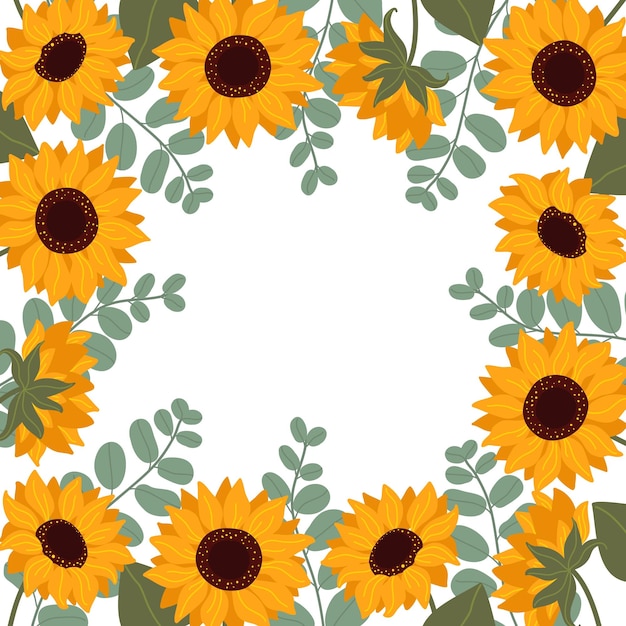 Girasoles sobre un fondo blanco.