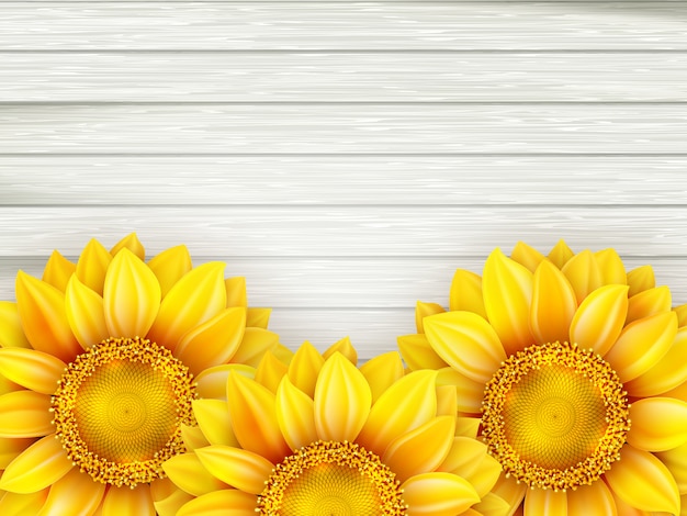 Girasoles sobre fondo de madera.