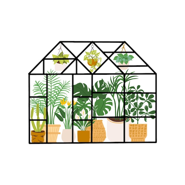 Glass orangery jardín botánico invernadero flores y plantas en macetas jardinería ilustración