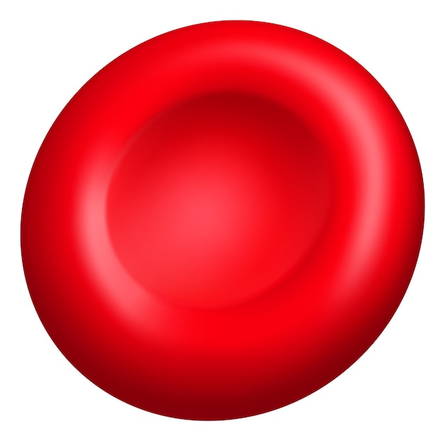 Glóbulo realista Partícula de plasma rojo Elemento hematológico