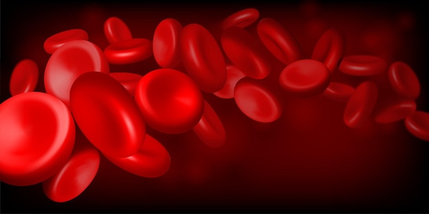 Los glóbulos rojos fluyen dentro de la arteria Concepto médico vectorial