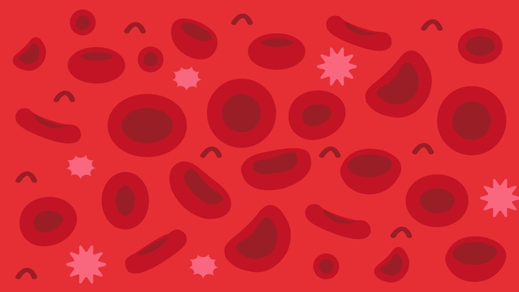 Vector los glóbulos rojos de fondo estilo plano