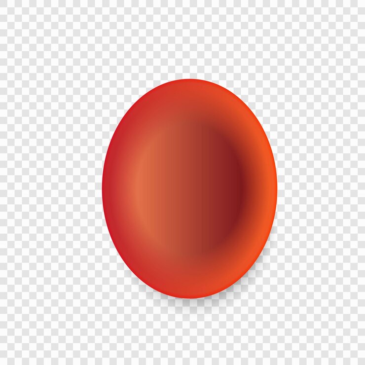 Vector glóbulos rojos