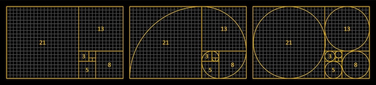 Vector golden ratio fibonacci set espiral para logotipos y diseños de composición de armonía proporciones correctas