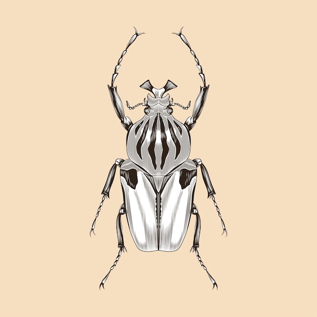 Vector goliathus macho ilustración vectorial diseño plano