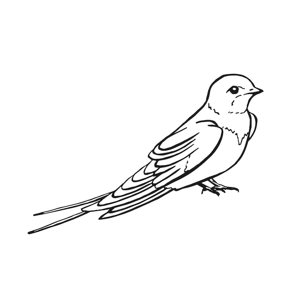 Golondrina Ilustración dibujada a mano convertida en vector