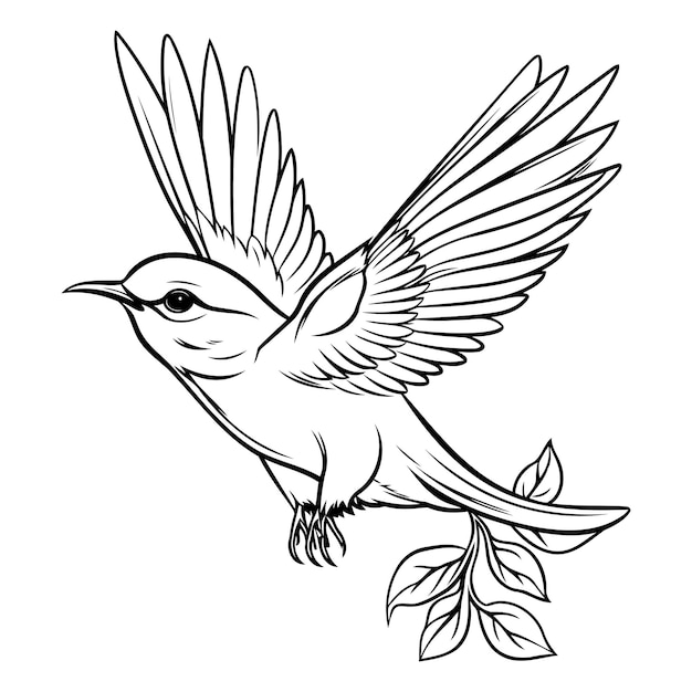 Vector golondrina voladora con hojas ilustración vectorial en blanco y negro para libro de colorear