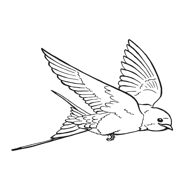 Golondrina voladora Ilustración dibujada a mano convertida en vector