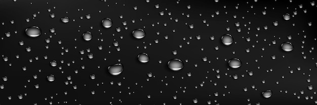 Vector gotas de agua de condensación en negro