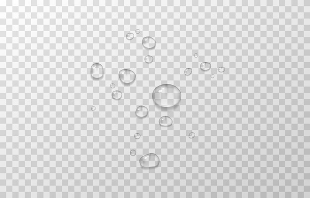 Vector gotas de agua. gotas, condensación en la superficie. gotas realistas aisladas transparentes.