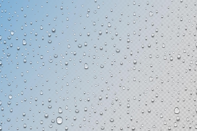 Vector gotas de agua gotas de lluvia realistas en la ventana vidrio de ducha gotas de agua sobre fondo transparente superficie húmeda con efecto degradado de color textura húmeda condensación vectorial o rocío