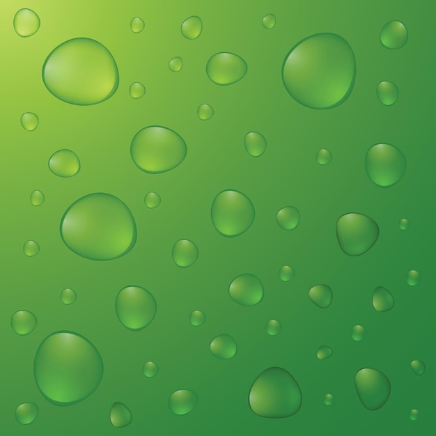 Vector gotas de agua realistas sobre fondo verde