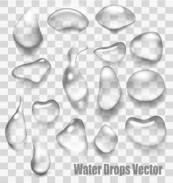 Gotas de agua sobre un fondo transparente. .