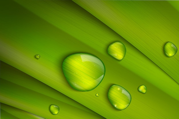 Vector gotas de agua sobre la hierba verde fresca, ilustración vectorial realista. ilustración vectorial