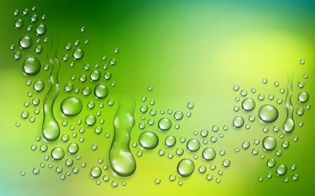 Vector gotas de lluvia de agua o condensación sobre fondo de naturaleza verde borrosa más allá de la ventana, ilustración de vector 3d transparente realista, fácil de poner sobre cualquier fondo.