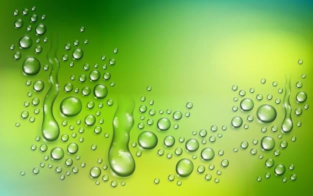 Gotas de lluvia de agua o condensación sobre fondo de naturaleza verde borrosa más allá de la ventana, ilustración de vector 3d transparente realista, fácil de poner sobre cualquier fondo.