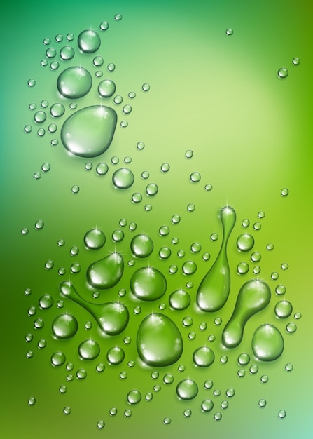 Vector gotas de lluvia de agua o condensación sobre fondo de naturaleza verde borrosa más allá de la ventana, ilustración de vector 3d transparente realista, fácil de poner sobre cualquier fondo.