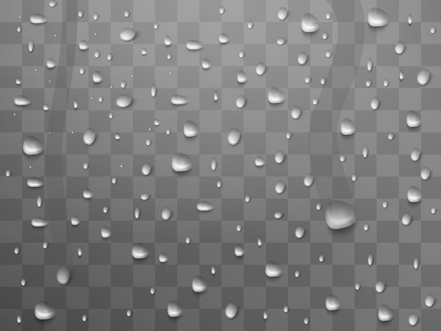 Vector gotas de lluvia o duchas, condensación. limpie las burbujas de vapor.