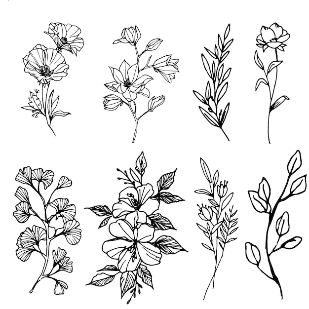 Grabado dibujado a mano fondo floral elementos decorativos étnicos vector ornamental
