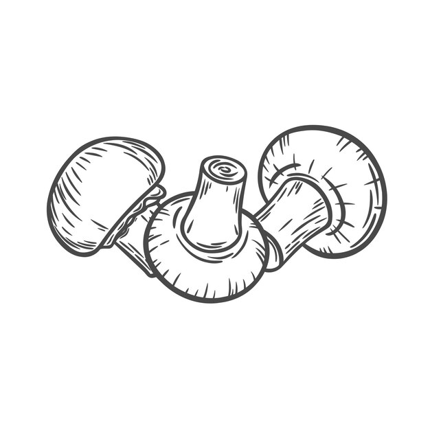 Grabado con la imagen de los champignones
