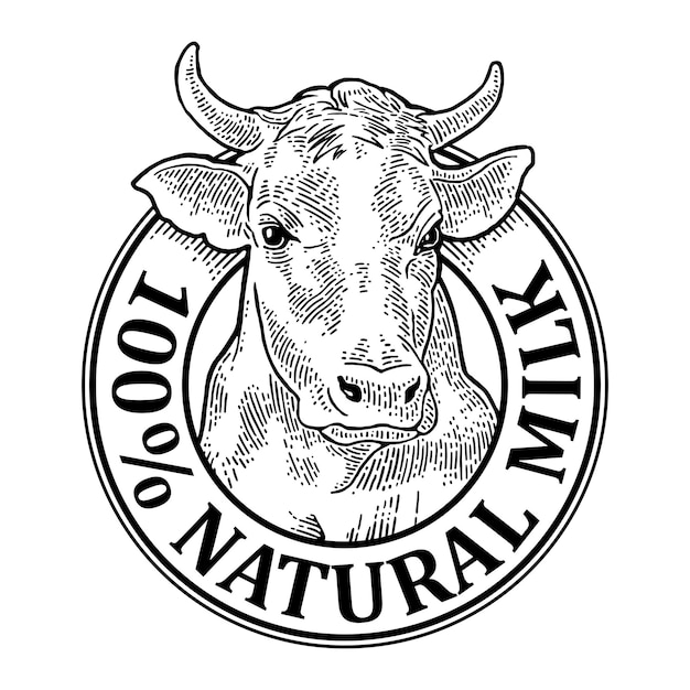 Grabado vectorial de leche natural de cabeza de vaca