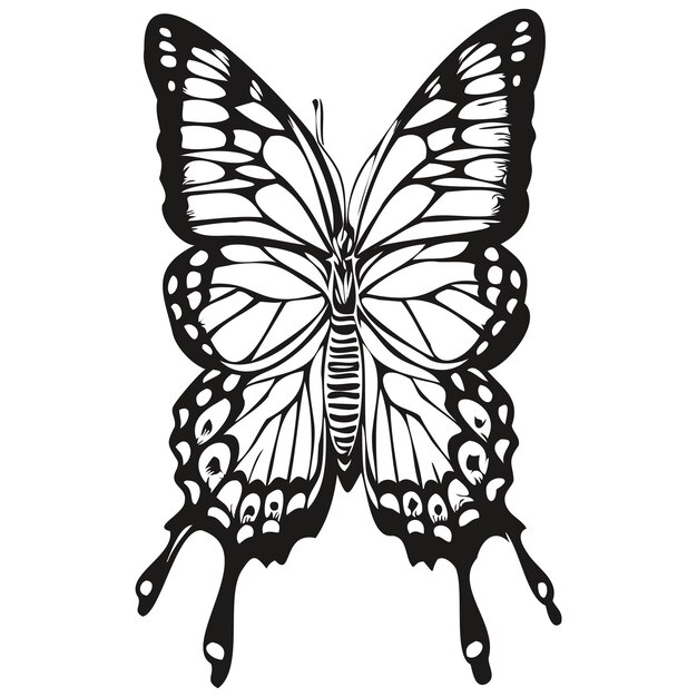 cuchillo mariposa. mano dibujado negro color. grabado vector ilustración.  22038056 Vector en Vecteezy