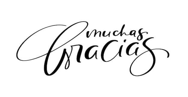 Vector gracias texto de letras vectoriales en español muchas gracias frase dibujada a mano manuscrito moderno