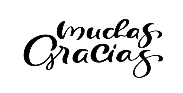 Vector gracias texto de letras vectoriales en español muchas gracias frase dibujada a mano manuscrito moderno