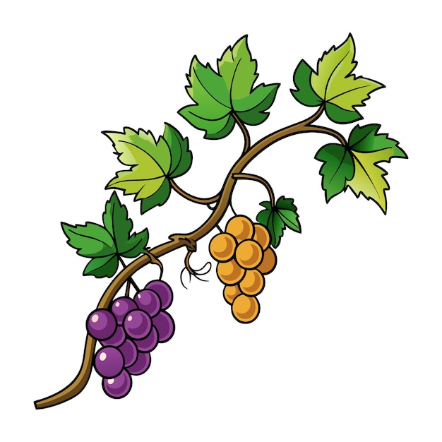 Graciosa ilustración vectorial de la rama de la vid para creaciones con temas de primavera