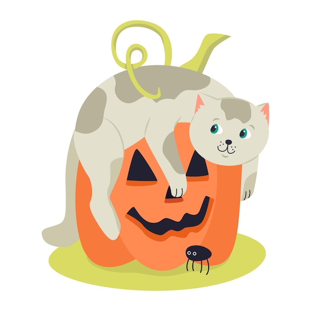 Gracioso gatito y jack o linterna calabaza de halloween