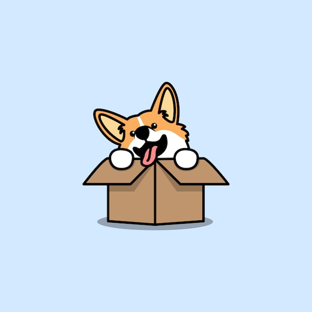 Gracioso perro corgi galés en la caja