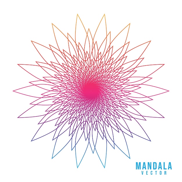 Gradiente colorido diseño de mandala simple y único sobre fondo blanco