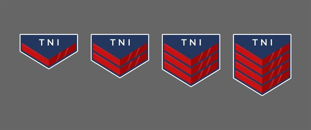 Grados militares en Indonesia