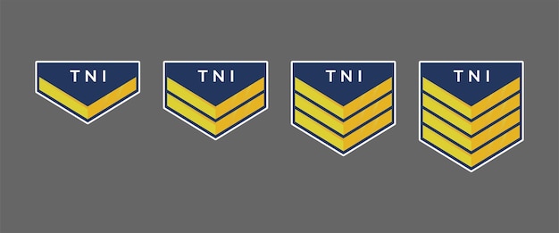 Grados militares en Indonesia