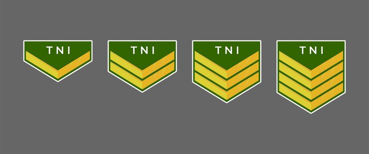 Vector grados militares en indonesia