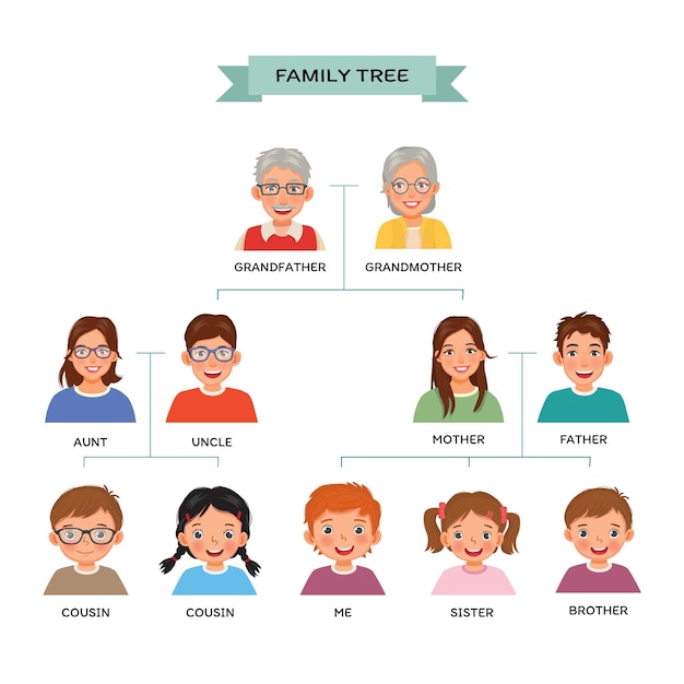 Vector gráfico de árbol genealógico con avatares humanos.