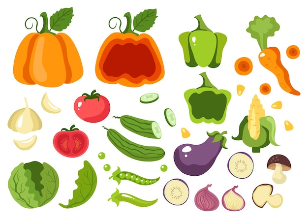 Gráfico de diseño de concepto de cartel de banner de verano de ensalada de comida vegana vegetariana vegetal