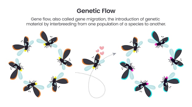 Gráfico de ilustración de vector científico de flujo genético