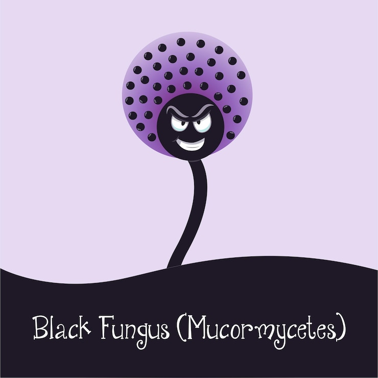 Vector gráfico de ilustración de vector de dibujos animados de mucormicetos de hongo negro