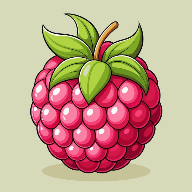 Gráfico de ilustración vectorial de frutas de frambuesa