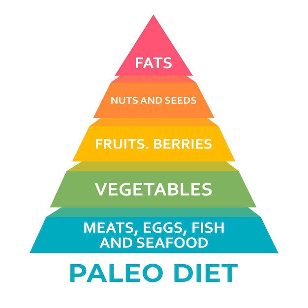 Vector gráfico de la pirámide alimenticia de la dieta paleo dieta saludable concepto de dieta de atención médica comer como nuestros antepasados se alinea con nuestra genética y promueve la buena salud