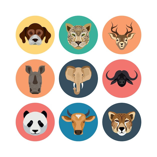 Gráfico vectorial de caras de animales en círculos coloridos con ilustraciones de vida silvestre