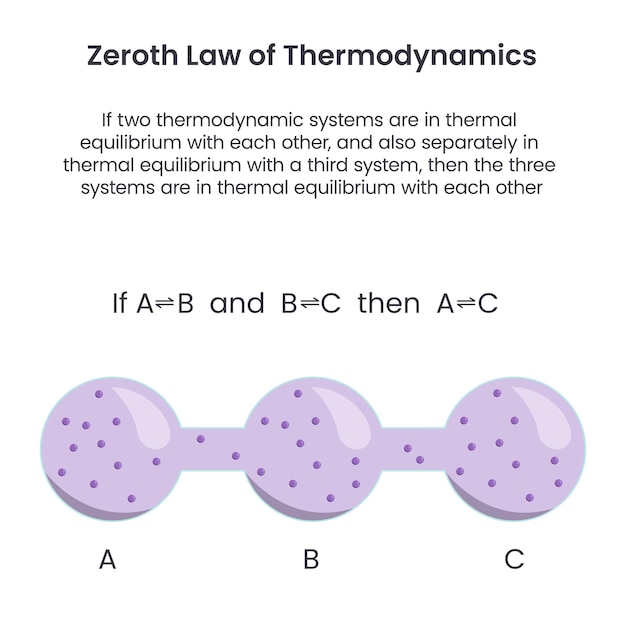 Gráfico vectorial de la ciencia de la bioquímica de la ley cero de la termodinámica