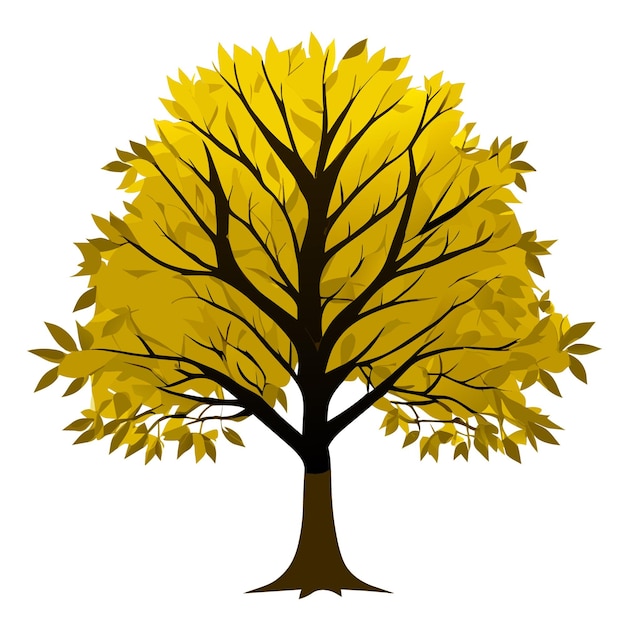 Vector gráfico vectorial detallado de árbol de arce aislado sobre un fondo blanco en estilo plano